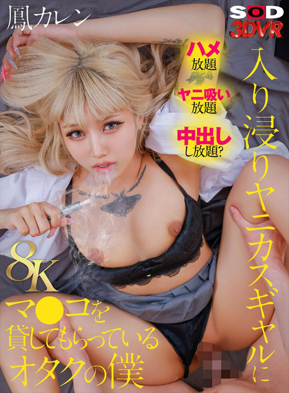 【VR】【8K】入り浸りヤニカスギャルにマ●コを貸してもらっているオタクの僕 鳳カレン 1